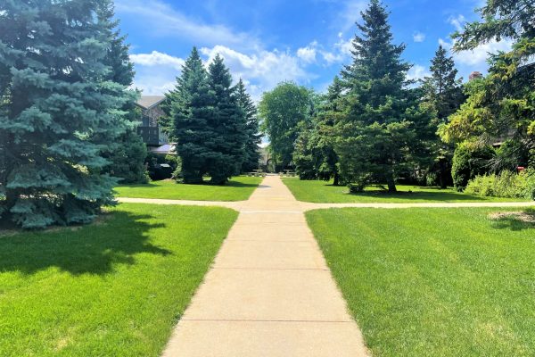 YphQ7v43d84evnYM6v3zQZ6Mnp4yUQ8OOw scaled